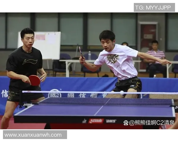 乒乓球的魅力与挑战：深入探讨上海乒乓球队的转型与发展之路