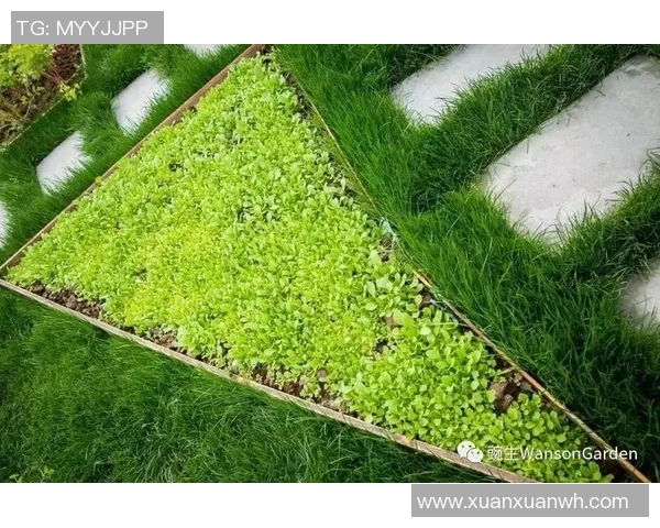 从草地到绿茵场足球明星与母亲的温情岁月与奋斗历程