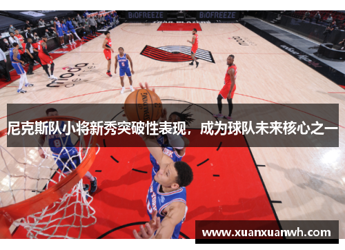 尼克斯队小将新秀突破性表现，成为球队未来核心之一