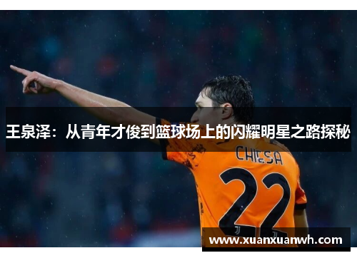 王泉泽：从青年才俊到篮球场上的闪耀明星之路探秘